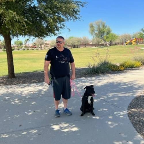 Private Dog Training