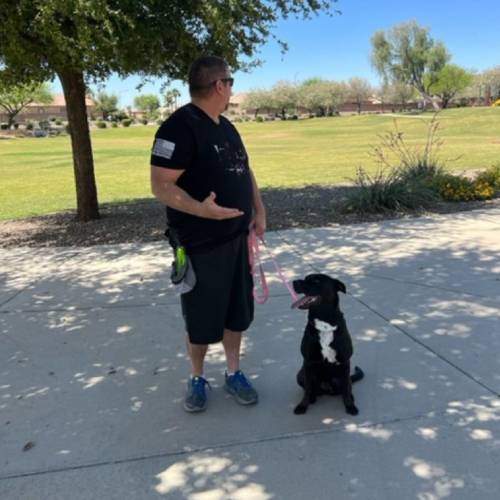 Behavior Modification Training Services